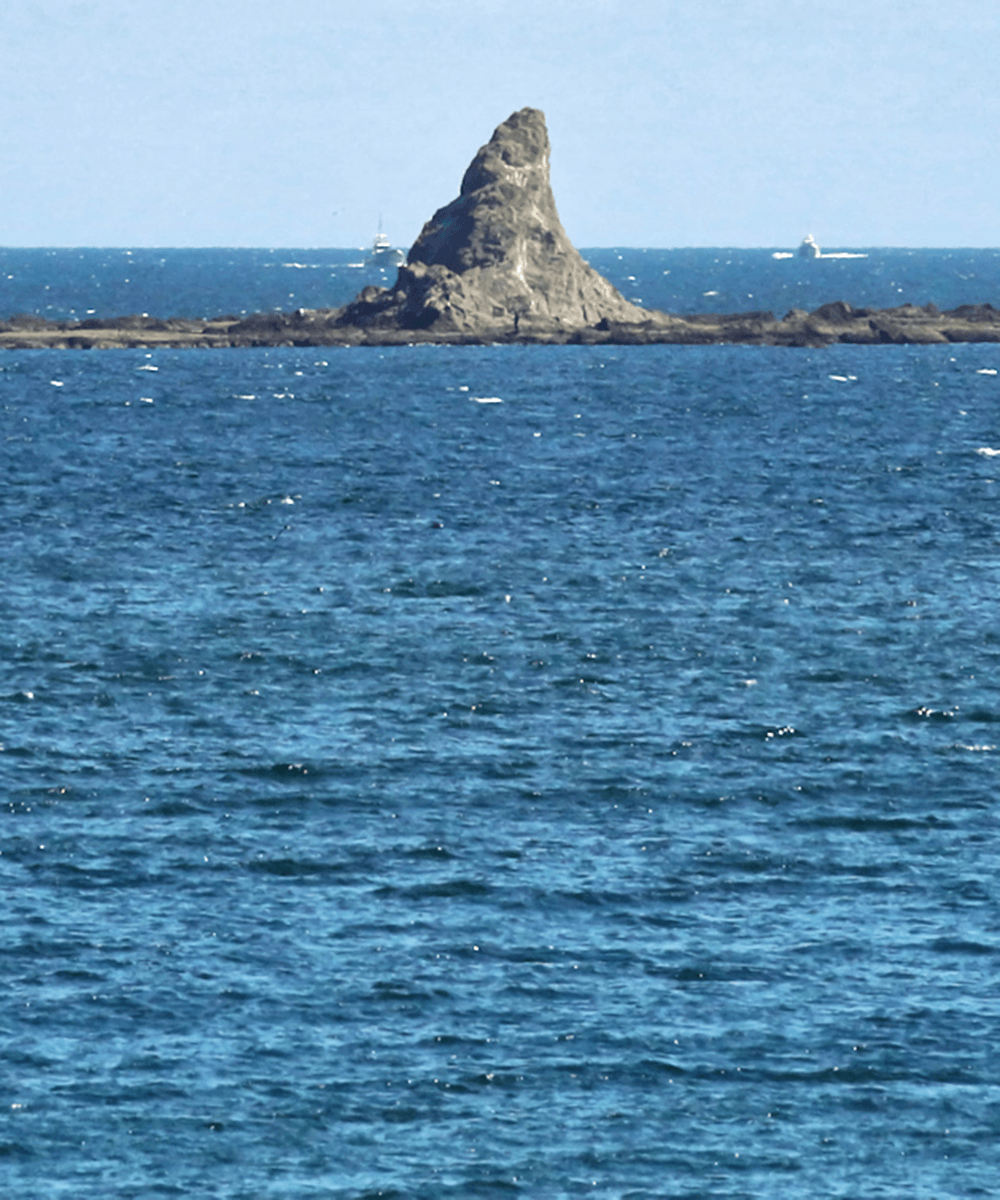image01